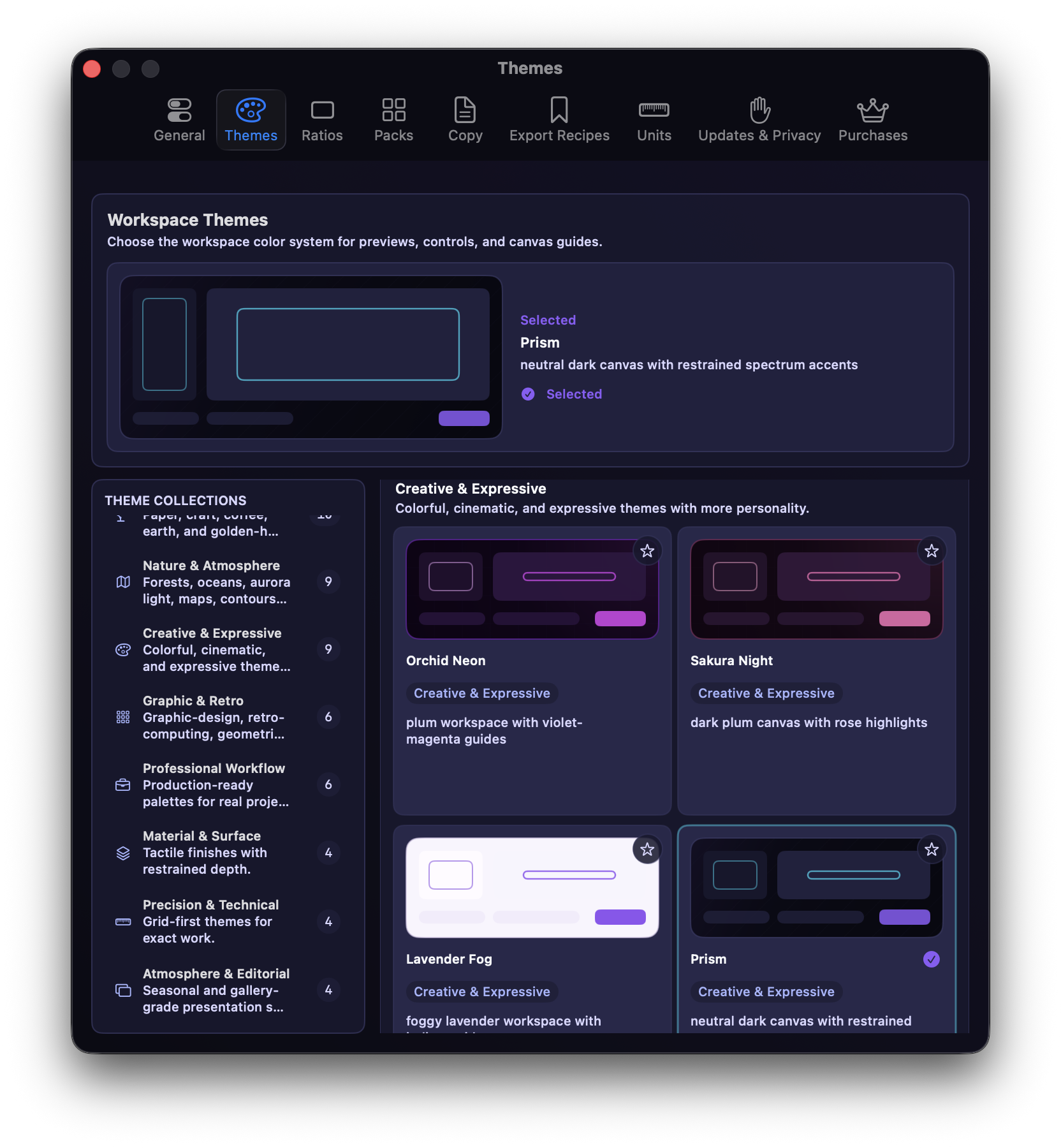 Raw version 2.4 app screenshot showing the preset pack with exact-size presets and category browsing.